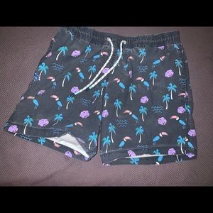 Party Pants Swim Trunks Large